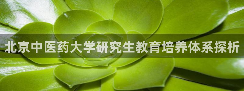 九游会agapp
