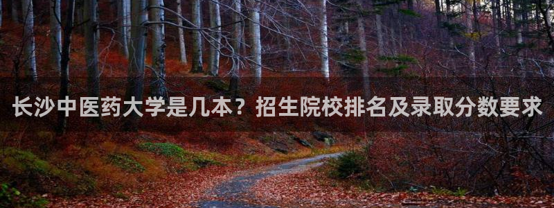 九游会j9官网登陆
