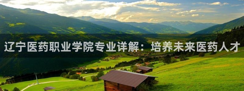 J9九游会旧版