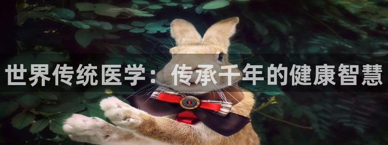 九游会app下载版官网正版手游