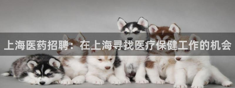 九游会个人中心登录页面