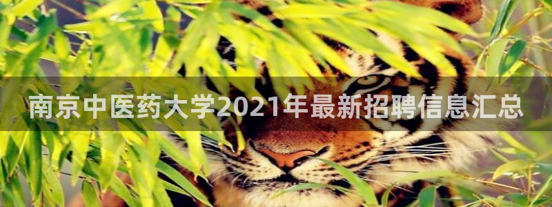 九游J9官方网站
