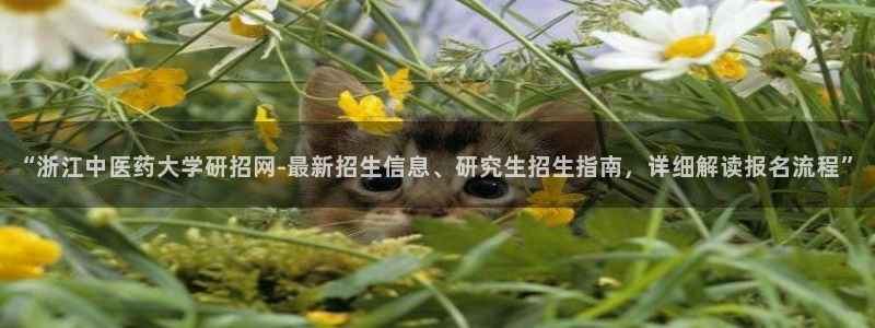 九游会agapp