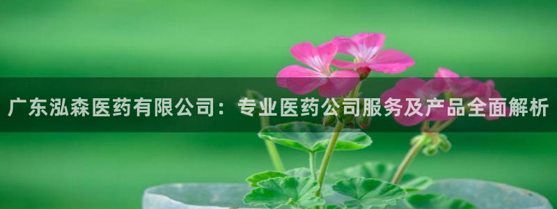 ag九游会论坛
