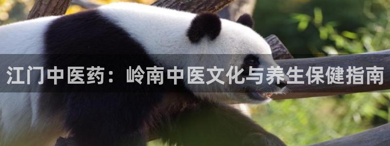 ag久游