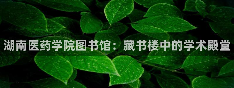 九游会官网j9
