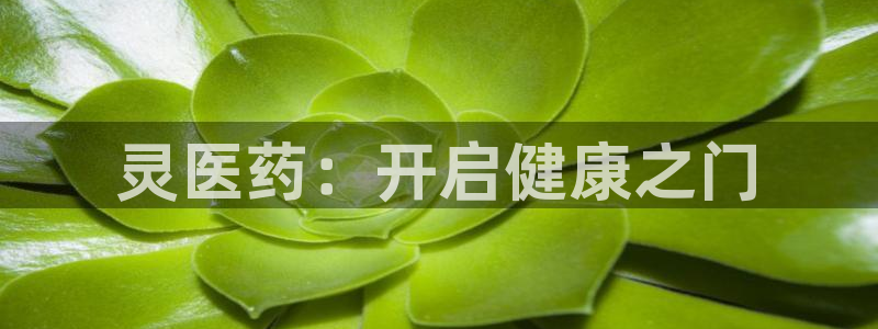 j9九游会备用网址